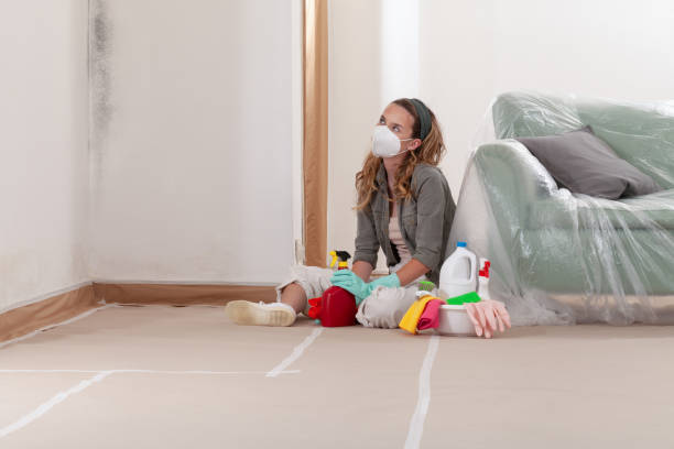 Reliable Mold Removal contractor in Scotch Plains, NJ by WQB Mold Removal